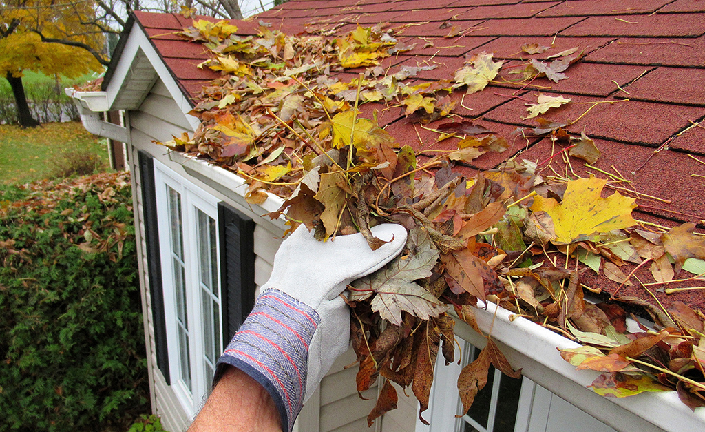 Roof & Gutter Cleaning